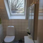 Apartment With Sea View Copenhagen