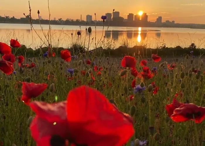 With Sea View Apartment *