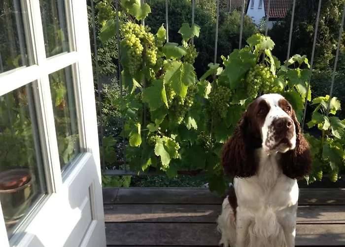 Appartamento With Sea View