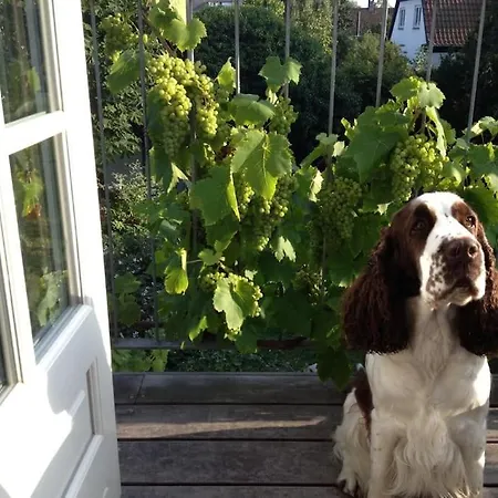 Appartement With Sea View
