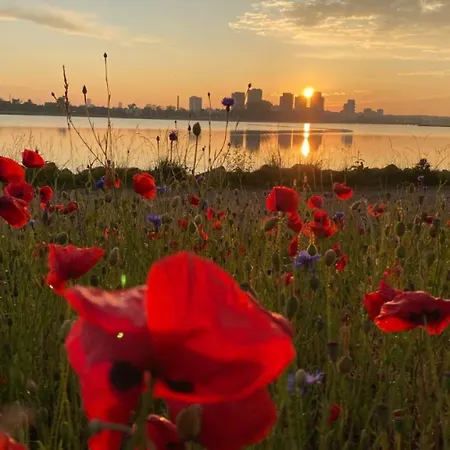 With Sea View Appartement *